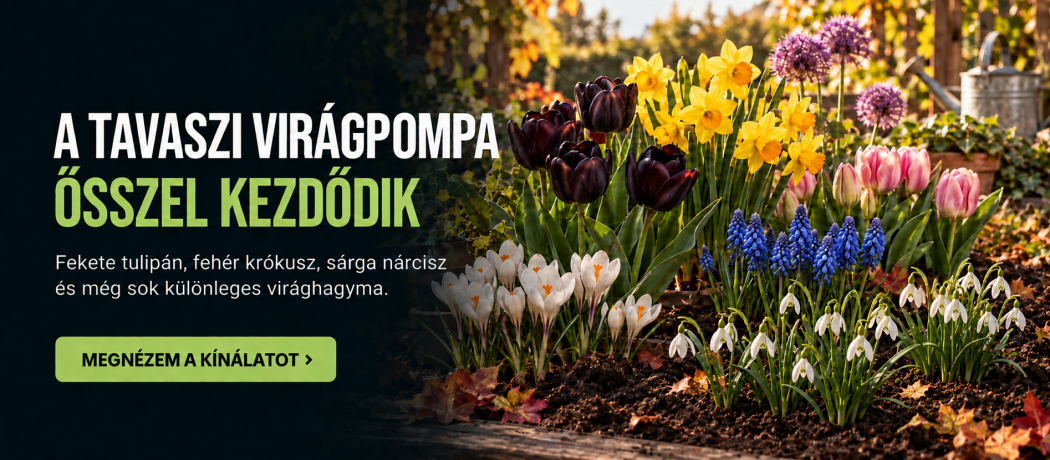 Agrokisgépcenter.hu | Kertészeti szakáruház