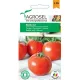 Paradicsom Buzau 22 1g Agrosel