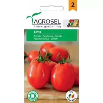 Paradicsom Silvia Agrosel