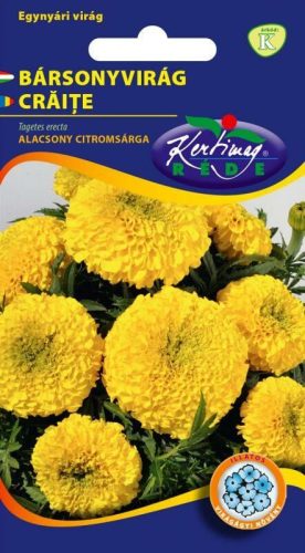 Bársonyvirág nagyvirágu alacsony c.sárga 1g