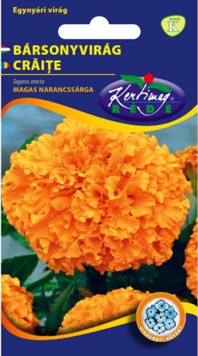Bársonyvirág nagyvirágu magas n.sárga 1g