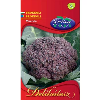 Brokkoli Miranda (lila) 2g