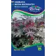 Csodafa /Ricinus/ (K) 3g