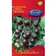 Paradicsom koktél Black Cherry 0,5gr