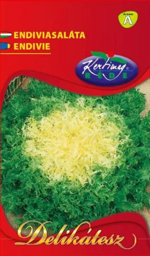 Saláta endivia (Salad King) Delikátesz 3g