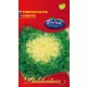 Saláta endivia (Salad King) Delikátesz 3g