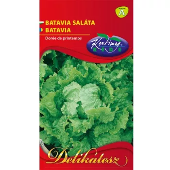 Saláta Jég Batávia 2g DELIKÁTESZ