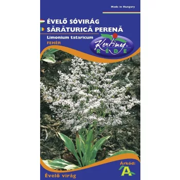 Sóvirág évelő (statice) fehér 0,2g