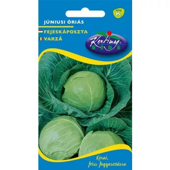Káposzta Júniusi óriás 2g