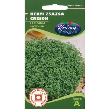 Zsázsa kerti 2g