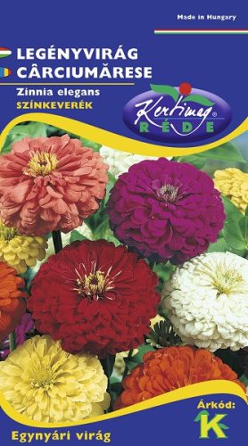 Legényvirág /rézvirág/ bíborlila