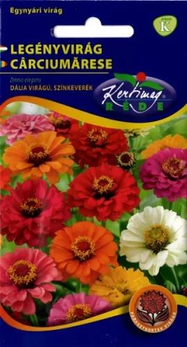 Legényvirág /rézvirág/ színkeverék dália virágú 2g