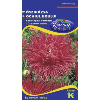 Õszirózsa Tűszírmú piros 1g