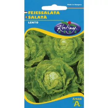 Saláta Lento nyári 2g