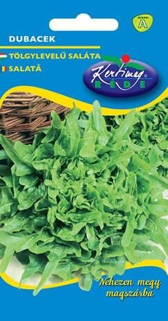 Saláta tölgylevelű Dubacek zöld 1gr