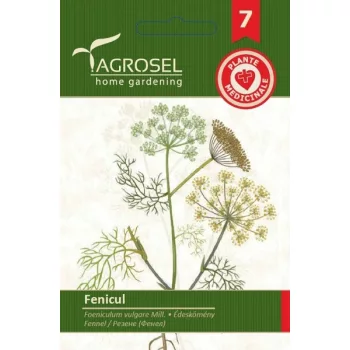 Kömény édes 4g gyógynövény Agrosel