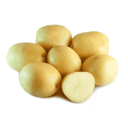 Vetoburgonya Carrera 2,5kg