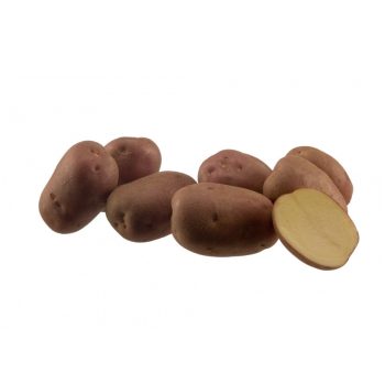 Vetoburgonya Memphis 2,5kg