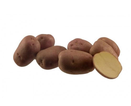 Vetoburgonya Memphis 2,5kg