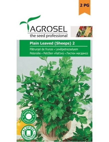 Petrezselyem metélo Plain Leaved2 4g Agrosel
