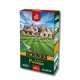 Fűmag Dichondra 0,5kg KITE
