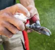 Felco tisztító spray 981
