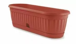 Kaktusz láda 32cm Agrokisgépcenter.hu Kertészeti szakáruház