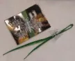 Orchidea csipesz