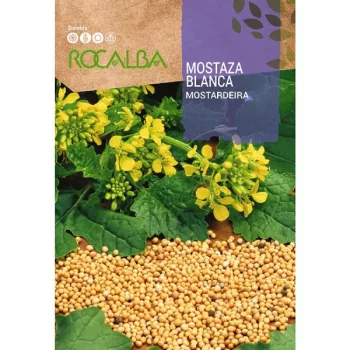 Mustár R, 10g