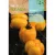 Paradicsom yellow Stuffer R, 0.1g