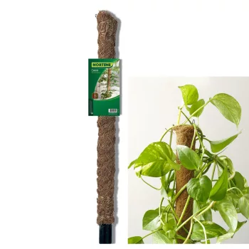 Kókuszkaró  60cm