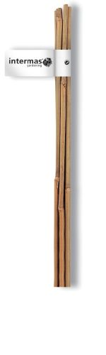 Bambusz rúd 120cm 10-12mm (3db/csomag)