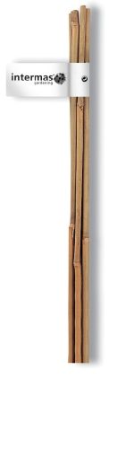 Bambusz rúd 210cm 16-18mm