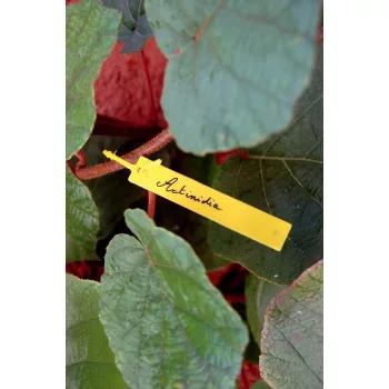 Jelölő tábla sárga Tree Label 40 db-os