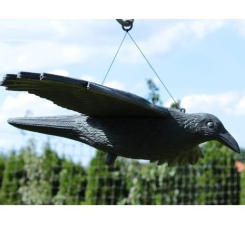 Madárriasztó varjú kitárt szárnyú 44x80x12cm