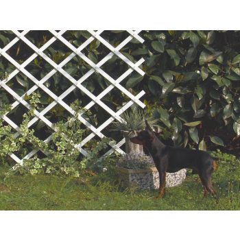 Növényfuttató rács 1x2m fehér Agrokisgépcenter.hu Kertészeti szakáruház