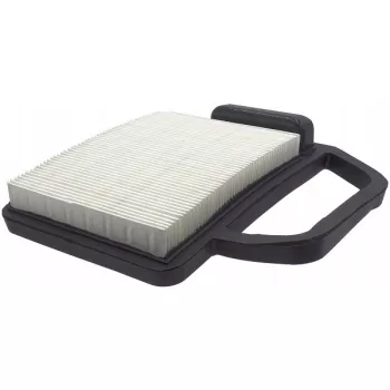 Kohler levegőszűrő