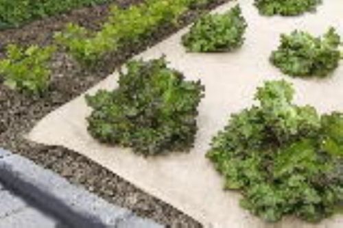 Talajtakaró lebomló 0,8x10m Nortene