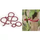 Növény csipesz 25db/cs paradicsom piros Tomatoclip
