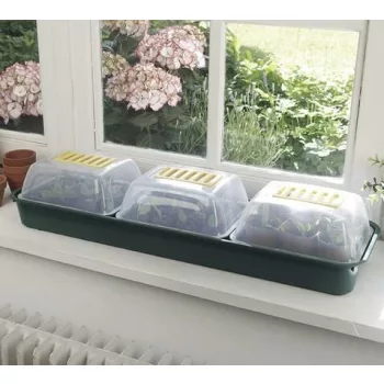 Üvegház mini Rapid GrowWindow 66x18x9cmx6db