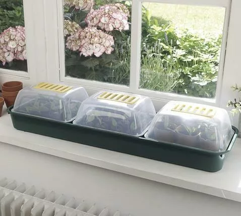 Üvegház mini Rapid GrowWindow 66x18x9cmx6db