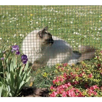 Drótháló ponthegesztett műa. bevonattal 1x 5m