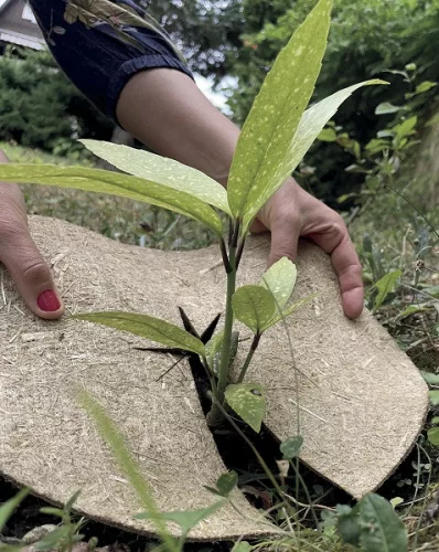 Talajtakaró 40cm kör lebomló kender-len