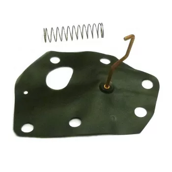 Briggs 3,5 le membrán pálcás (oregon )