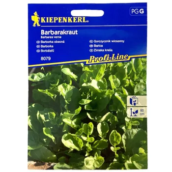 Borbálafű (téli zsázsa) Kiepenkerl
