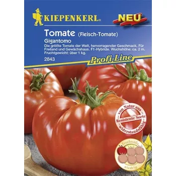 Paradicsom Gigantomo húsparadicsom Kiepenkerl 8sz.