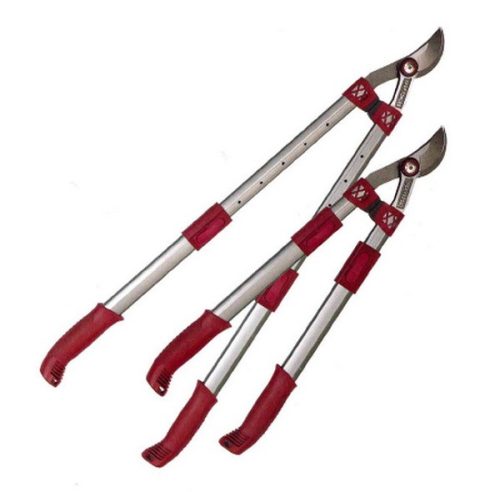 Ágvágó mellévágó teleszkópos RG3209