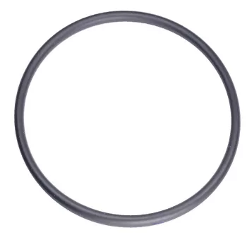 Gardena 5L permetezőhöz O gyűrü menetes zárófejbe