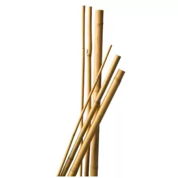 Bambusz rúd 240cm 18-20mm (3db/csomag)