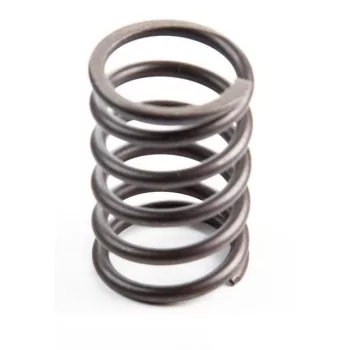 Briggs trak. kip.szelep rugó